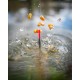 Pluta Matrix -  Carbon Margin Pole Float 0.4g